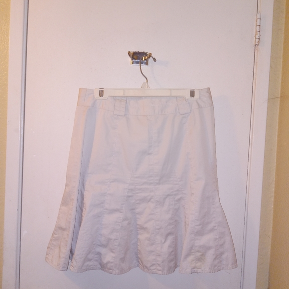 Anne Taylor LOFT Skirt - Picture 4 of 4